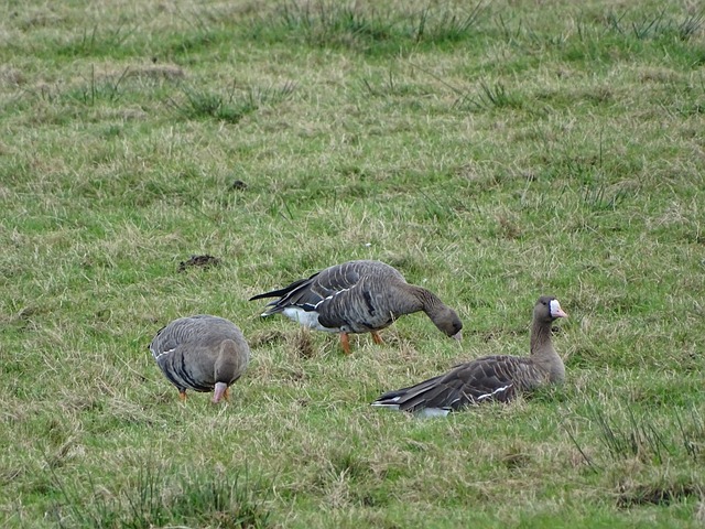 强大的个人 强大的个人