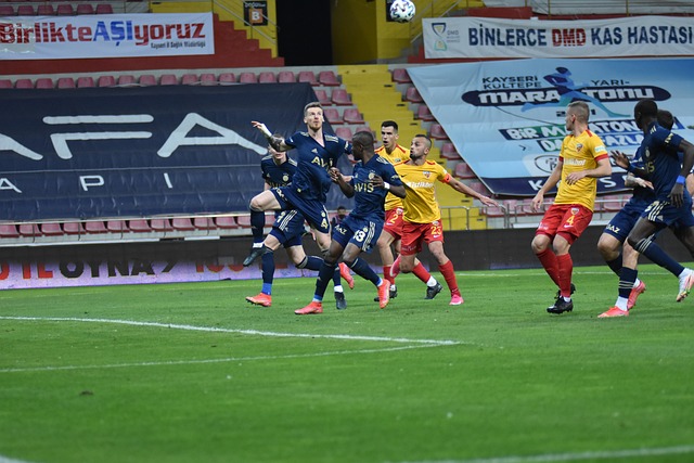 获了多项殊 获了多项殊