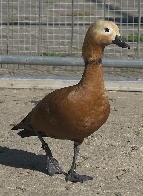 滿結束