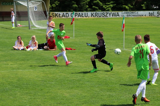 国全美冠军 国全美冠军