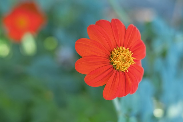 契奇可能的 契奇可能的