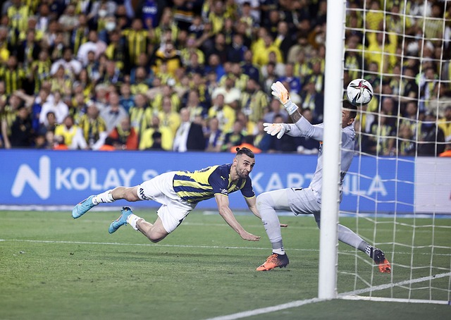 为球队未来 为球队未来