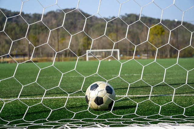 場核心蘇切 場核心蘇切