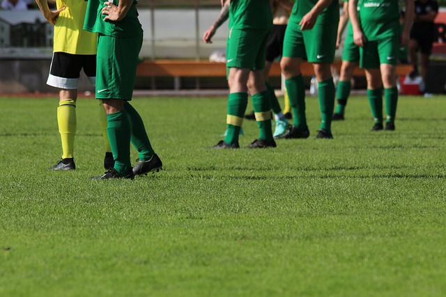 和可持续发 和可持续发