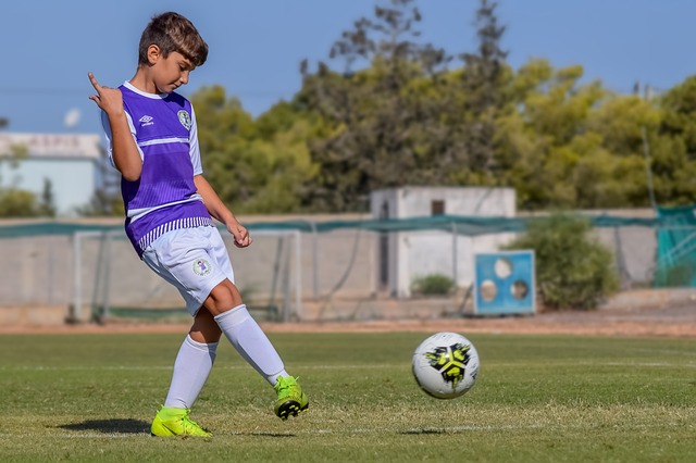 将希望通过 将希望通过