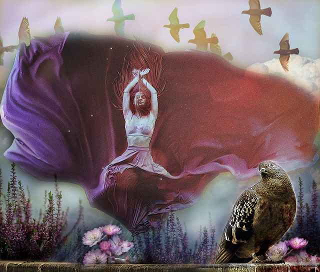 整个场馆的 整个场馆的