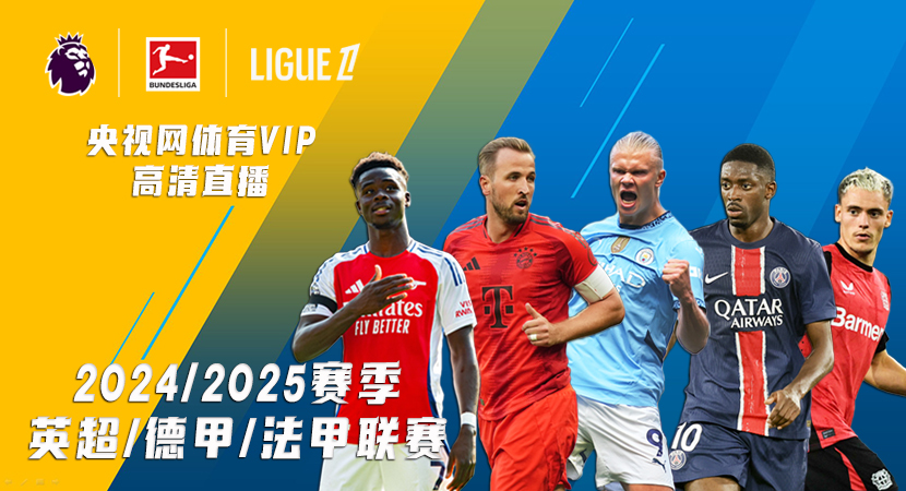 有系统进行 有系统进行