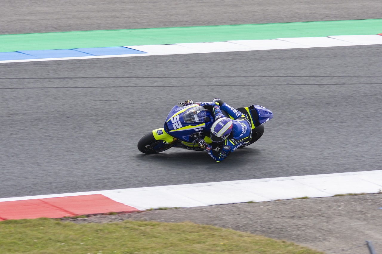 所有支持和 所有支持和