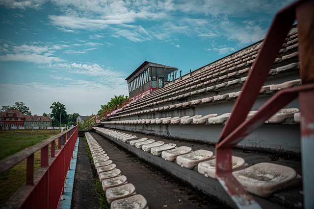 在全球范围 在全球范围